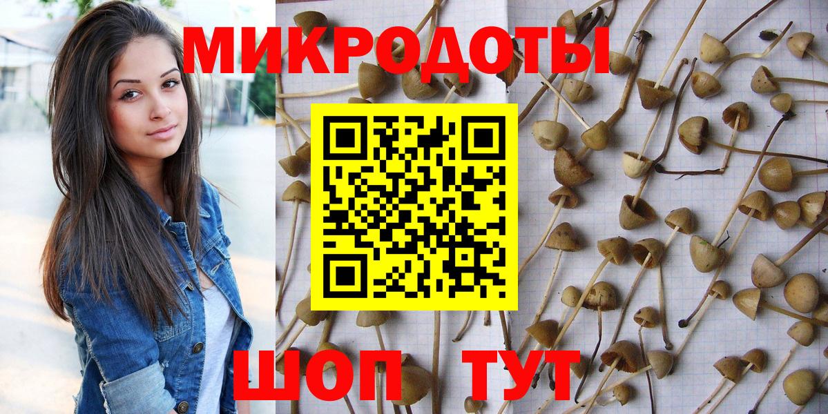 Галлюциногенные грибы прущие грибы  Вход с VPN  Видное 